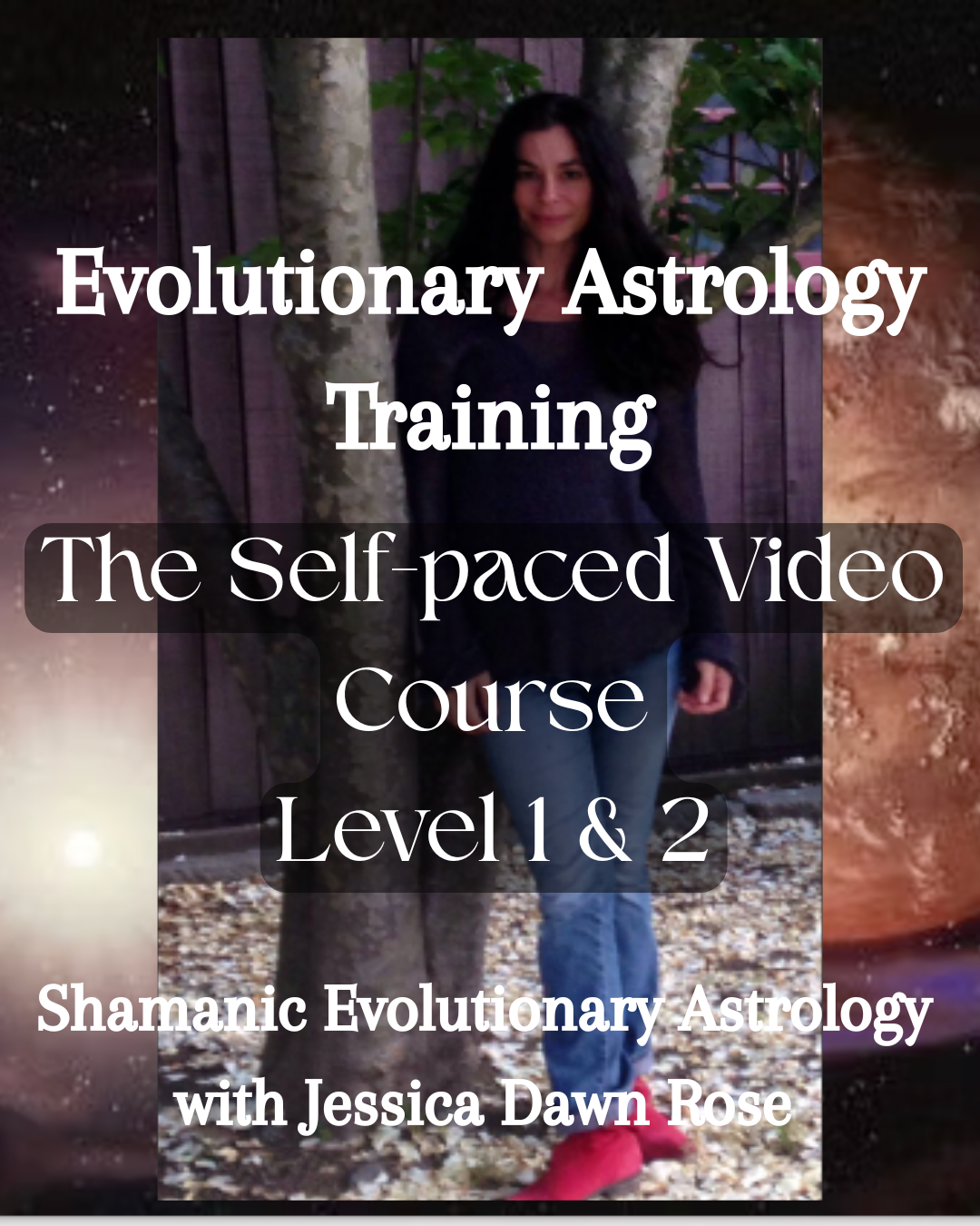 Video Course; Self-paced; Evolutionary Astrology Training