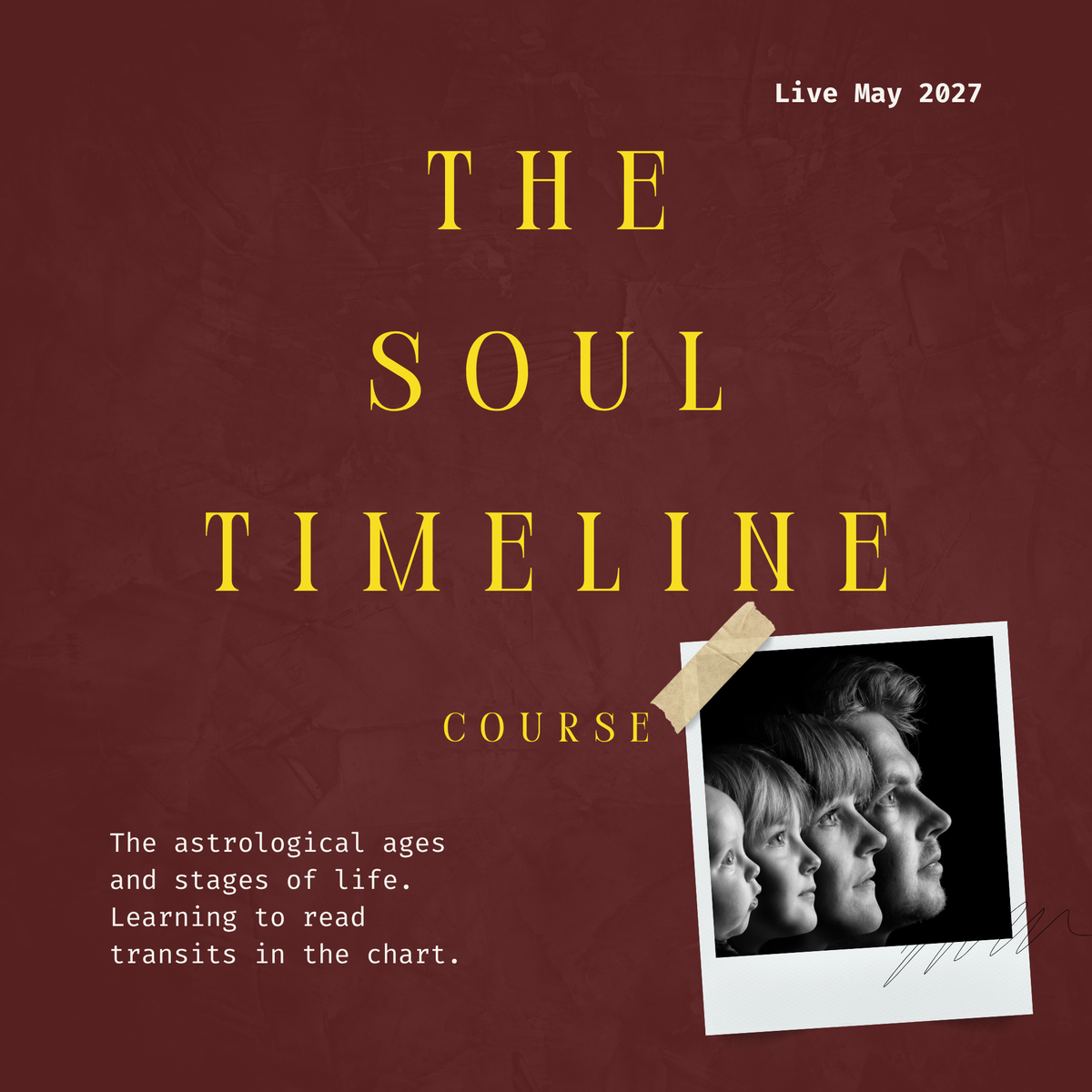 Soul Timeline Course: Live May 2027
