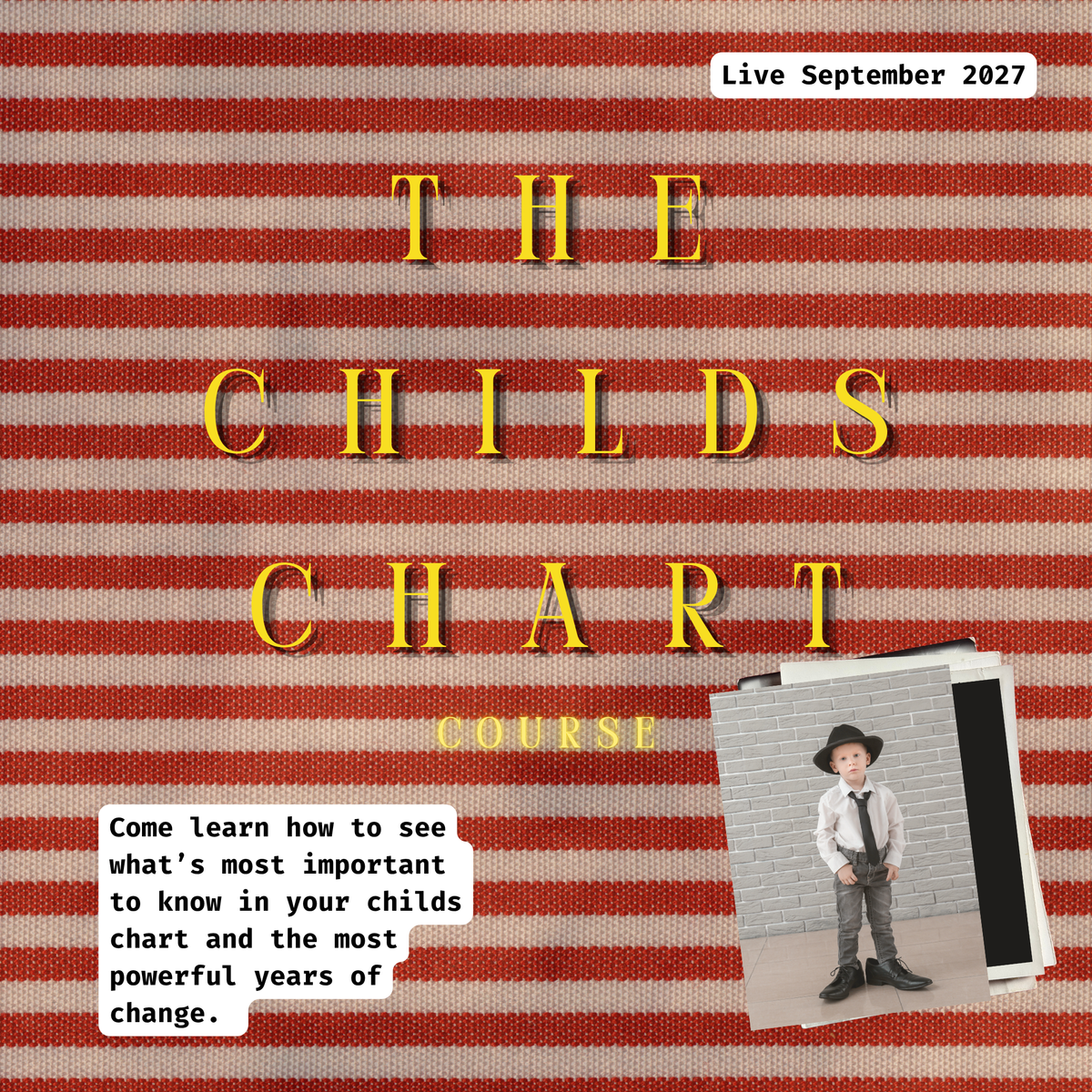 The Child's Chart: Live Course September 2027