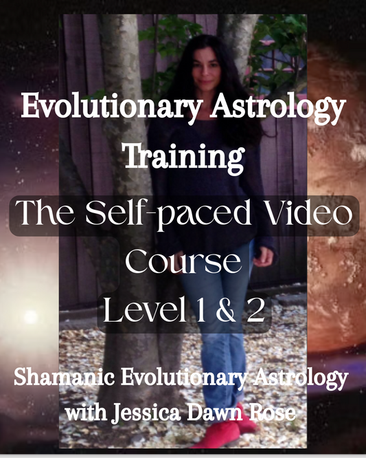 Video Course; Self-paced; Evolutionary Astrology Training